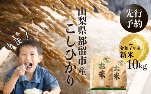 [令和7年産新米・予約]山梨県都留市産こしひかり[10kg] おコメ おこめ お米 米 こしひかり 先行予約 新米
