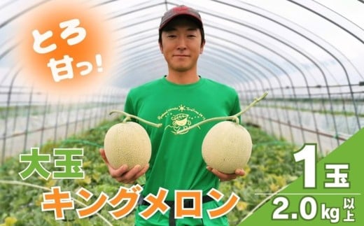 【先行予約】【大玉】とろける舌触り！東山農場産キングメロン 1玉　YD083