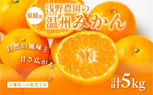 【先行予約】浅野農園の温州みかん 家庭用5kg ※離島への配送不可（2025年12月上旬～12月中旬頃に順次発送予定 ） 【 ふるさと納税 人気 おすすめ ランキング みかん 柑橘 ミカン 蜜柑 mikan 果物 フルーツ オレンジ 家庭用 5kg 愛媛県 伊方町 送料無料 】IKTAC004