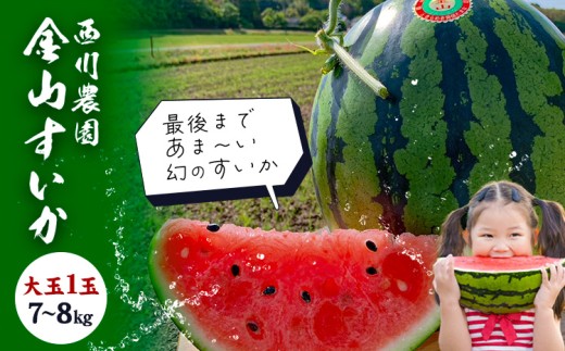 金山すいか 大玉 1玉 西川農園《5月上旬-5月中旬頃出荷》熊本県 荒尾市 スイカ すいか 西瓜 フルーツ 果物 大玉すいか 幻のすいか 1番すいか 