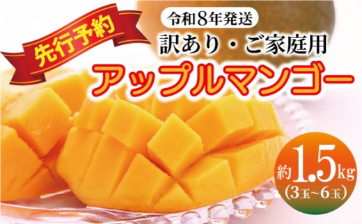 [訳あり・ご家庭用]アップルマンゴー(約1.5kg)[先行予約・2026年発送] 〇 マンゴー アップルマンゴー アーウィン ワケアリ 家庭用 訳アリ 沖縄 読谷村 うちなーすぐりむん 地場産品 自宅使い 人気商品 デザート
