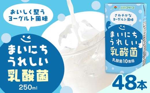 常温保存可能 まいにちうれしい 乳酸菌 ヨーグルト風味 250ml×48本 合同会社たべたせいか《30日以内に出荷予定(土日祝除く)》熊本県 菊池市 紙パック ヨーグルト飲料 乳酸菌 ドリンク 飲み物 飲料 常温保存 国産 熊本県産 1333062 - 熊本県菊池市
