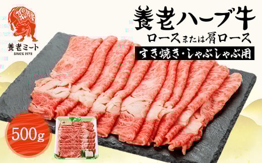 養老ハーブ牛　ロースまたは肩ロース　すき焼き・しゃぶしゃぶ両用　500g【1273632】 1318783 - 岐阜県養老町