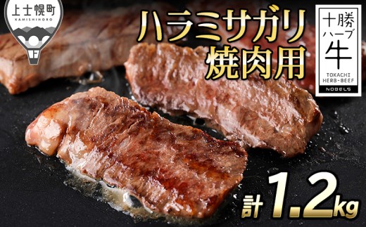 十勝ハーブ牛 国産 ハラミサガリ 焼肉用 計1.2kg 北海道産 牛肉 赤身 国産 キャンプ アウトドア バーベキュー BBQ 旨味を逃さないスキンパック包装 ［072-H70］ ※オンライン申請対応