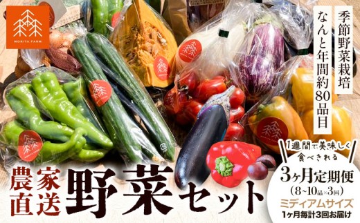 野菜 農家直送 新鮮 野菜 セット 3ヵ月 定期便 ミディアムサイズ 8〜10品 ×3回[お申し込み月の翌月から出荷開始] 森田農園 青果物 やさい 千葉県 流山市 定期便