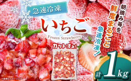 [栃木県共通返礼品]冷凍いちご 1kg | いちご とちあいか 冷凍 冷凍イチゴ スイーツ ジャム スムージー たっぷり 大粒 甘い 美味しい 果物 デザート 栃木県 那珂川町 送料無料