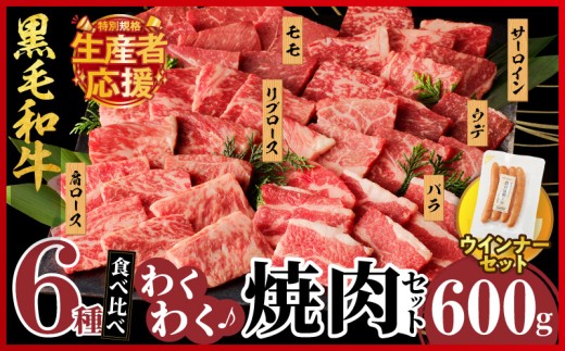 【令和7年11月発送】生産者応援!!【期間・数量限定特別規格】≪訳あり≫黒毛和牛(経産牛)6種焼肉セット(合計600g)＆粗挽きウインナー 肉 牛 牛肉 おかず 国産_T030-120-U-11
