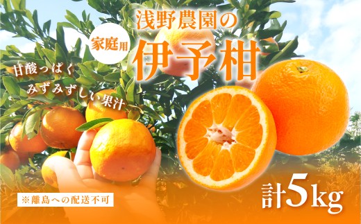 【先行予約】伊予柑5kg 家庭用 ※離島への配送不可（2026年2月上旬頃より順次発送予定 ） 【 ふるさと納税 人気 おすすめ ランキング 柑橘 みかん ミカン オレンジ 家庭用 フルーツ 果物 5kg くだもの 旬 愛媛県産 愛媛みかん 浅野農園 愛媛県 伊方町 送料無料 】IKTAC015