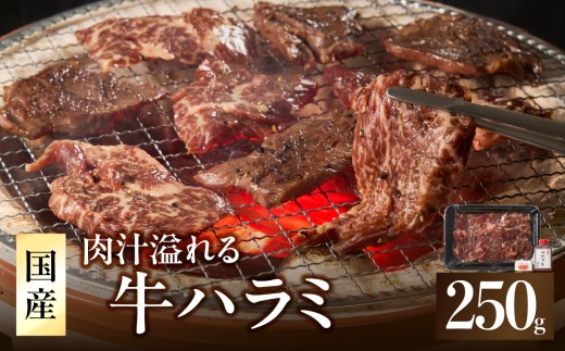 「京都人気焼肉店」貴重！肉汁溢れる 国産牛ハラミ 250g ふるさと納税 国産ハラミ 貴重 自家製ダレ プロの味 【093-42】 2253830 - 京都府木津川市