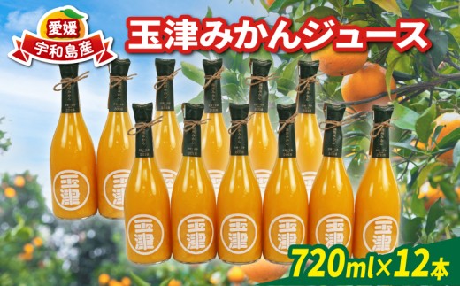 玉津 みかんジュース 温州みかん 720ml× 12本 玉津柑橘倶楽部 先行予約 100％ジュース ストレートジュース ジュース 愛媛みかん 愛媛蜜柑 愛媛ミカン うんしゅう みかん mikan 果物 フルーツ 柑橘 濃厚 甘い 甘味 蜜柑 産地直送 数量限定 国産 愛媛 宇和島 H040-072052 2244899 - 愛媛県宇和島市