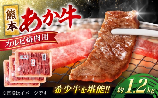 熊本 あか牛 カルビ 焼肉用 約1.2kg[合同会社 たべたせいか] [AYCB052]