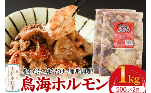 鳥海ホルモン 2個入（500g×2） 2234649 - 秋田県由利本荘市