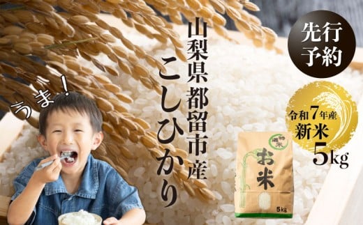[令和7年産新米・予約]山梨県都留市産こしひかり[5kg] おコメ 米 こめ 新米 先行予約 こしひかり