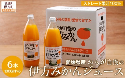 【先行予約】【愛媛県産】おらが自慢の伊方みかんジュース（1000ml×6本）ストレート果汁100％ （2025年12月より順次発送）【 ふるさと納税 人気 おすすめ ランキング みかん ミカン 蜜柑 ジュース みかんジュース ミカンジュース クリエイト伊方 愛媛県 伊方町 送料無料 】 IKTI008 