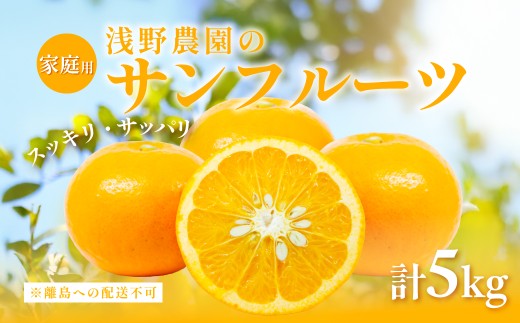 【先行予約】【家庭用】浅野農園のサンフルーツ5kg ※離島への配送不可（2026年4月中旬頃より順次発送予定） 【 ふるさと納税 人気 おすすめ ランキング 柑橘 みかん ミカン オレンジ  サンフルーツ フルーツ 果物 くだもの 旬 愛媛県産 愛媛みかん 浅野農園 愛媛県 伊方町 送料無料 】IKTAC010