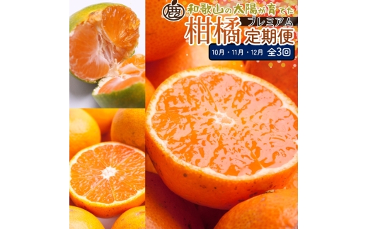 [定期便]厳選 柑橘定期便SS 3回(10〜12月)※北海道・沖縄・離島への配送不可※10月・11月・12月に発送