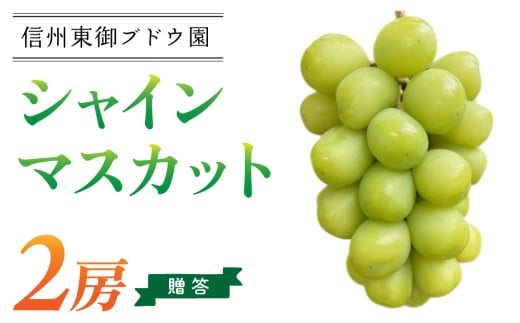 【信州東御ぶどう園】特殊農法シャインマスカット2房（1.1kg以上）贈答用