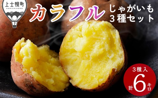 北海道産 カラフル じゃがいも 3種セット 計6kg（2kg×3種） 北海道 上士幌町 加藤農場 野菜 ジャガイモ 馬鈴薯 産地直送 おすそ分け用紙袋2枚付き ◆2025年12月配送予定 ［009-V71］ ※オンライン申請対応