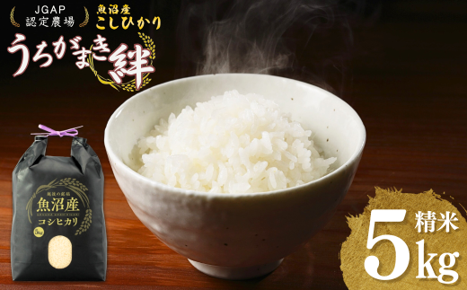 [JGAP認証農場]令和7年産 魚沼産コシヒカリ 精米5kg(5kg×1袋) うちがまき絆[0002-UK01-01]