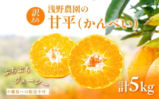 【先行予約】【数量限定】【訳あり】浅野農園の甘平（かんぺい）5kg ※離島への配送不可（2026年2月中旬頃より順次発送予定） 【 ふるさと納税 人気 おすすめ ランキング 柑橘 みかん ミカン フルーツ 果物 愛媛 有名 代表 高級 愛媛県産 愛媛みかん 浅野農園 愛媛県 伊方町 送料無料 】IKTAC028