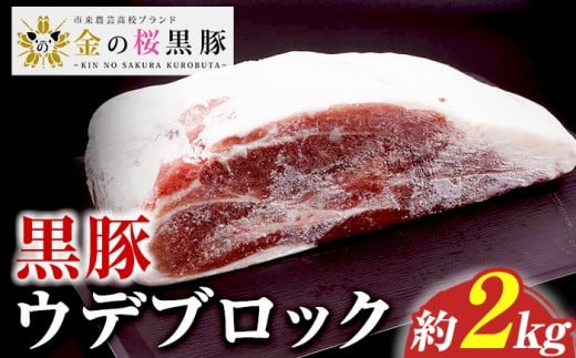 ＼塊肉／金の桜黒豚 ウデ肉 ブロック 約2kg 鹿児島県産 黒豚 豚肉 ブロック肉  塊肉 とんかつ【A-1831H】