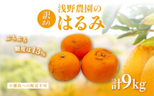 【先行予約】【訳あり】はるみ9kg※離島への配送不可（2026年2月上旬頃より順次発送予定） 【 ふるさと納税 人気 おすすめ ランキング 柑橘 みかん ミカン フルーツ 果物 愛媛 有名 代表 高級 愛媛 愛媛県産 愛媛みかん 浅野農園 愛媛県 伊方町 送料無料 】IKTAC032
