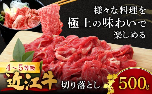 O-I15 近江牛切り落とし 500ｇ 近江牛 ブランド牛 近江牛 牛肉 近江牛 サーロイン 近江牛 贈り物 ギフト 近江牛 やきしゃぶ 近江牛 国産 近江牛 滋賀県 近江牛 近江牛 霜降り 神戸牛 松阪牛 に並ぶ 日本三大和牛 ふるさと納税 切り落とし 切落し 切り落し 切り落とし 焼肉 切り落とし 国産 切り落し 切り落とし 切り落し 焼肉 西川精肉店 1462683 - 滋賀県東近江市