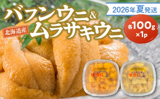 【2026年夏発送】塩水ウニ【バフンウニ＆ムラサキウニ】各100g×1パック 北海道余市町産