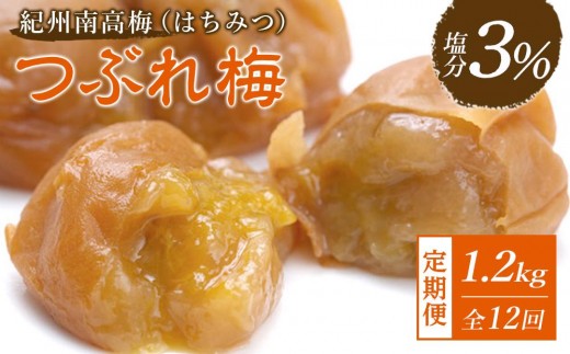 ※先行予約25年10月以降発送※ 【毎月定期便12回】紀州南高梅《つぶれ梅セット》はちみつ梅 塩分3%(1.2kg)