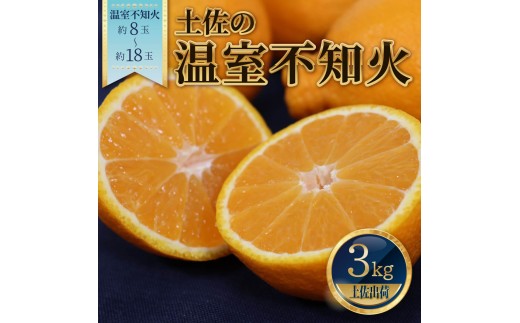 土佐の温室不知火（しらぬい）約3kg みかん 柑橘 フルーツ 果物 美味しい おいしい 常温 故郷納税 ふるさとのうぜい 返礼品 高知県 高知