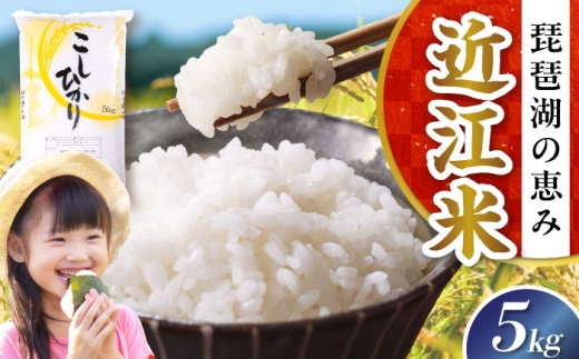 [令和7年産新米]コシヒカリ 5kg 白米 滋賀県長浜市/株式会社コメック [AQDH001]