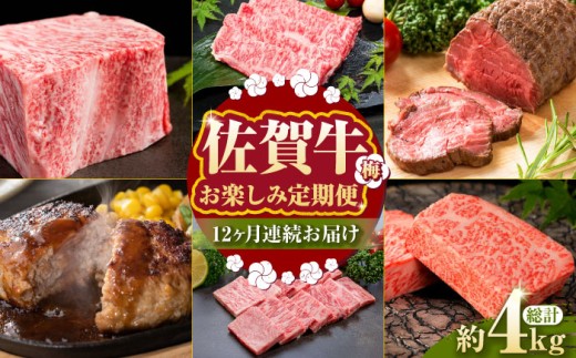 【全12回定期便】毎月お届け！佐賀牛 お楽しみ定期＜梅＞【Trade com 8】 [HBO004] 黒毛和牛 牛肉 肉