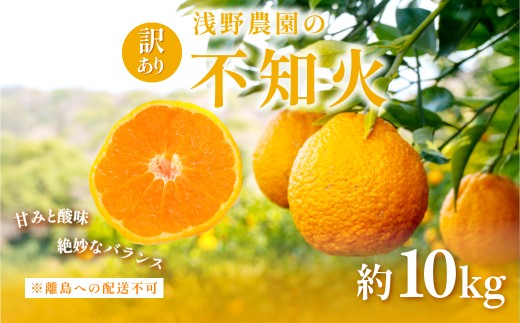 【先行予約】訳あり 不知火 計10kg ※離島への配送不可（2026年2月上旬頃より順次発送予定） 【 ふるさと納税 人気 おすすめ ランキング 柑橘 みかん ミカン フルーツ 果物 でこぽん デコポンと同品種 愛媛 愛媛県産 愛媛みかん 浅野農園 愛媛県 伊方町 送料無料 】IKTAC030
