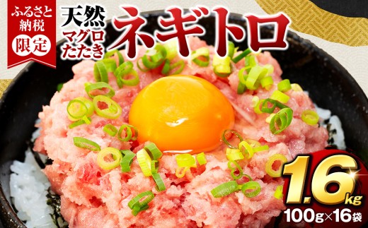 【クラファン支援対象返礼品！】【2025年8月発送】 訳あり ネギトロ まぐろ 約1,6kg 16袋 100g × 16パック 小分けパック ねぎとろ 鮪 たたき 魚 魚介 新鮮 天然 目鉢 マグロ キハダ 冷凍 すきみ 鮪のタタキ 寿司 すし 手巻き寿司 人気 おすすめ 送料無料 静岡県 藤枝
