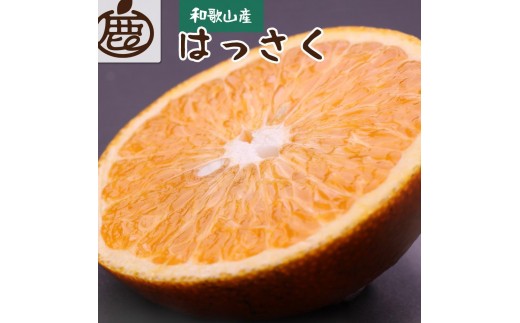 ［先行予約］厳選 はっさく10kg+250g（傷み補償分）［八朔みかん］［光センサー選別］