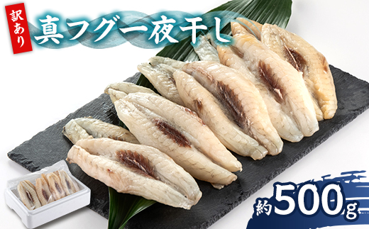 <訳アリ>真フグ一夜干し約500g【1608831】 2163525 - 千葉県いすみ市