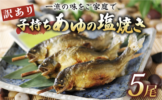 訳あり 子持ち あゆの塩焼き 5尾 あゆ 鮎 アユ 鮎の塩焼き アユの塩焼き 鮎塩焼き アユ塩焼き あゆ塩焼き 焼魚 子持ちアユ 子持ち鮎 子持ちあゆ 塩焼き 便利 簡易 簡単  簡単調理 魚 焼き魚 琵琶湖 国産 川魚 魚介 彦根 滋賀