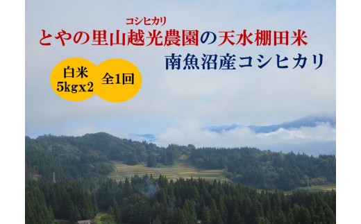 【令和7年産新米予約】とやの里山越光農園「天水棚田米」南魚沼塩沢産コシヒカリ　精米10kg(5kgx2)x全1回【2025年12月下旬より順次発送予定】 2212303 - 新潟県南魚沼市