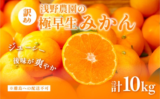【先行予約】浅野農園の極早生みかん 訳あり10kg ※着日指定不可 ※離島への配送不可（2025年10月上旬～11月中旬頃に順次発送） 【 ふるさと納税 人気 おすすめ ランキング みかん 柑橘 ミカン 蜜柑 mikan 果物 フルーツ オレンジ 訳あり 10kg  早生 愛媛県 伊方町 送料無料 】 IKTAC001