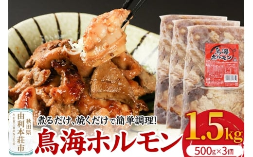 鳥海ホルモン 3個入（500g×3） 2234650 - 秋田県由利本荘市