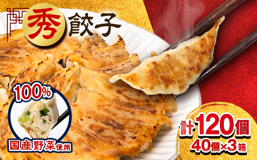 秀餃子 120個(40×3箱)2.4kg 国産野菜と肉の新鮮さにこだわった本気のぎょうざ 国産 冷凍【1622598】 2110498 - 静岡県磐田市