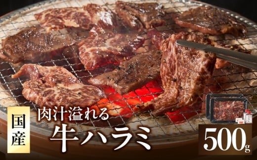 「京都人気焼肉店」貴重！肉汁溢れる 国産牛ハラミ 500g ふるさと納税 国産ハラミ 貴重 自家製ダレ 木津川市  【093-43】 2253831 - 京都府木津川市