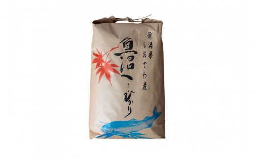 【令和7年産新米予約】南魚沼産 塩沢コシヒカリ「だすけ米」玄米20kg【2025年9月中旬より順次発送予定】 2234531 - 新潟県南魚沼市