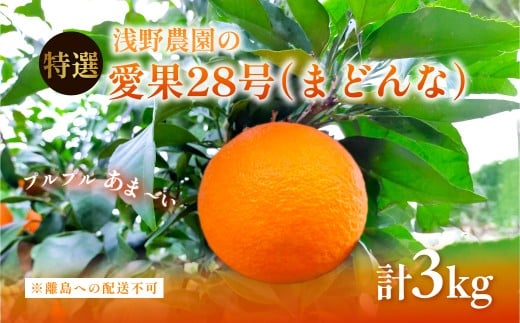 【先行予約】【数量限定】浅野農園の愛果28号（まどんな）特選3kg ※離島への配送不可（2025年12月中旬～2026年1月中旬頃に順次発送予定） 【 ふるさと納税 人気 おすすめ ランキング 柑橘 みかん ミカン フルーツ 果物 愛媛 有名 代表 高級 愛媛県産 愛媛みかん 浅野農園 愛媛県 伊方町 送料無料 】IKTAC023