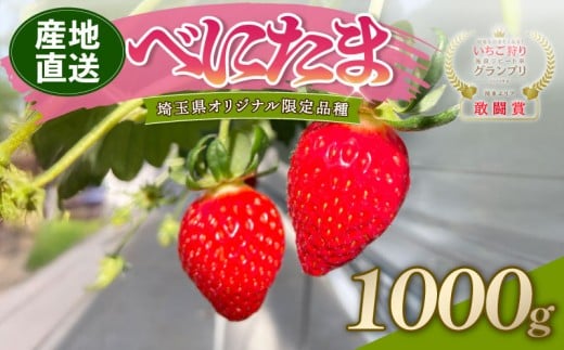 【予約】 べにたま 埼玉限定品種 1000g いちご イチゴ 苺 ストロベリー 産地直送 ご当地 果物 くだもの フルーツ デザート 食品 スイーツ 冷蔵 ロコファーム 埼玉県 羽生市