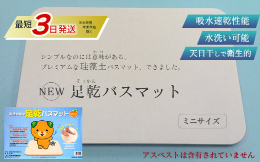  足乾(そっかん)バスマット ミニサイズ [最短3営業日発送]| 珪藻土 バスマット 足拭きマット 浴室マット バス用品