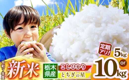[先行予約]栃木県産コシヒカリ・栃木の星 選べる 銘柄 5kg~10kg | 2025年 10月 11月 12月 秋 先行予約 新米 真岡市産 こしひかり コシヒカリ とちぎの星 銘柄 お米 米 おにぎり おむすび ふるさと納税 先行 予約 栃木県 真岡市 送料無料