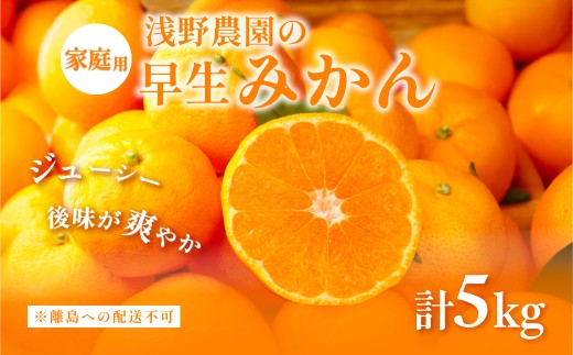 【先行予約】浅野農園の早生みかん 家庭用5kg ※着日指定不可 ※離島への配送不可（2025年11月上旬～11月中旬頃に順次発送予定） 【 ふるさと納税 人気 おすすめ ランキング みかん 柑橘 ミカン 蜜柑 mikan 果物 フルーツ オレンジ 家庭用 5kg 早生 愛媛県 伊方町 送料無料 】IKTAC002