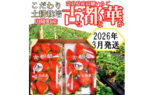 【2026年3月発送】こだわりの土耕栽培 奈良県産いちご【古都華】農家直送!2パック入り