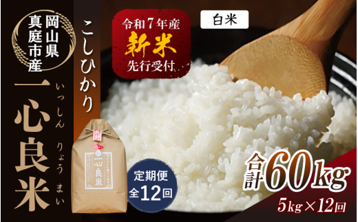 【令和7年産先行予約】＜定期便全12回＞ 真庭市産コシヒカリ 米ぬか 牡蠣栽培米 『 一心良米 』 白米 ５kg×12回（定期便） / お米 いっしんりょうまい 岡山県 真庭市 白米 米 コシヒカリ こしひかり 人気 ブランド米 新米 先行予約 定期便 令和7年産 2025年産
